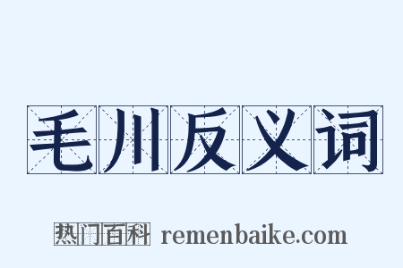 毛川反义词是什么意思的图片